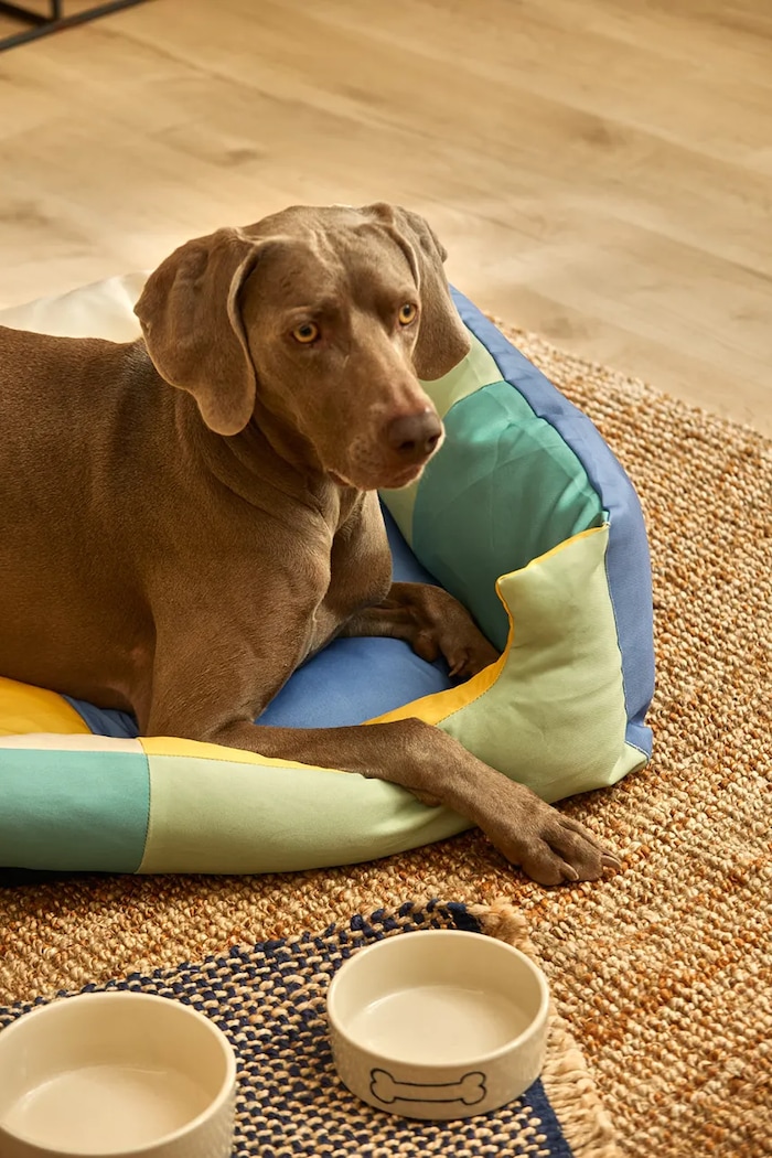 Calma House cuccia per animali Buby L BUBY.DOGL.TUR