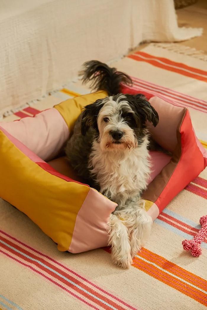 Calma House Pat pentru animale de companie Buby M BUBY.DOGM.ROS
