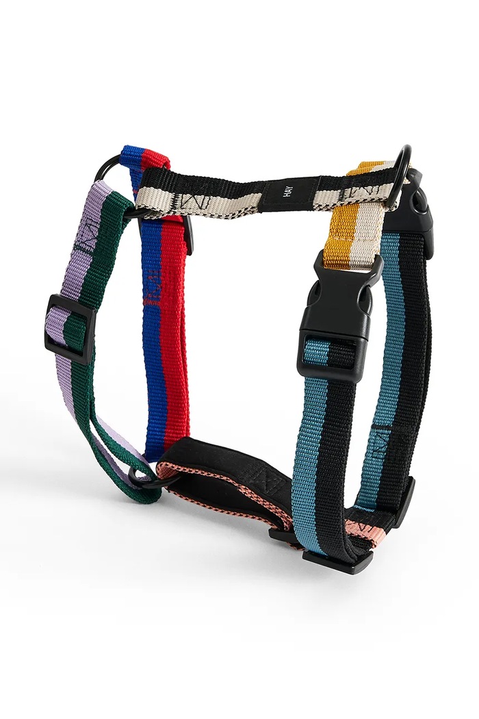 HAY dog harness Medium multicolor AE931.A602.AG29