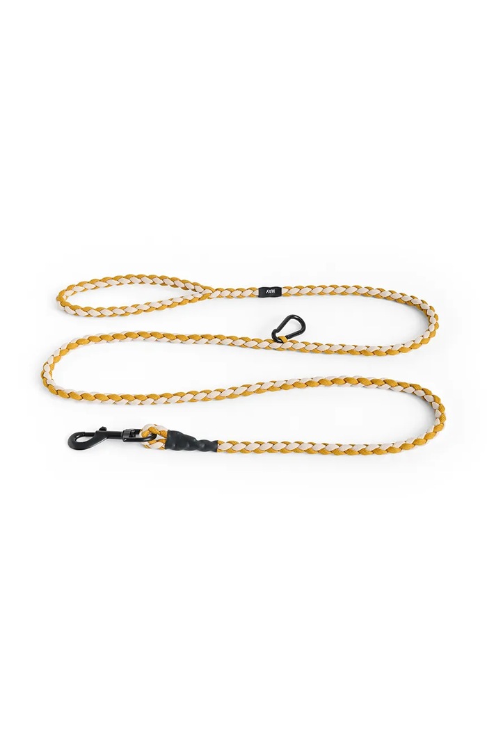 HAY dog leash 160 cm yellow AD865.E871.AS16
