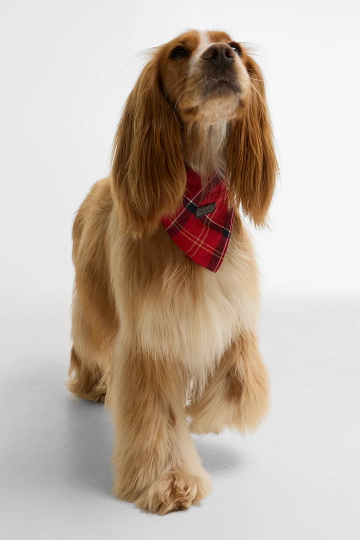 Barbour Bandana dla psa DAC0013