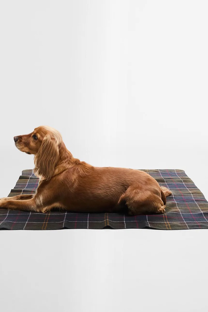 Barbour Deka pre domáce zvieratá Barbour Tartan Blanket 100 x 120 cm DAC0122 viacfarebná AA00