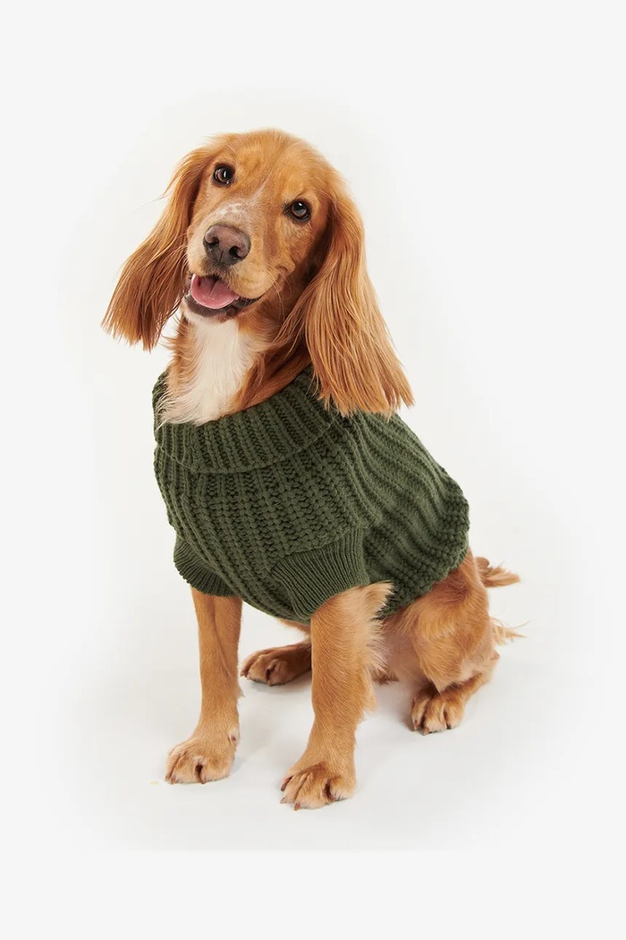 Barbour Maglia per cane Saltburn Dog Jumper verde DCO0042