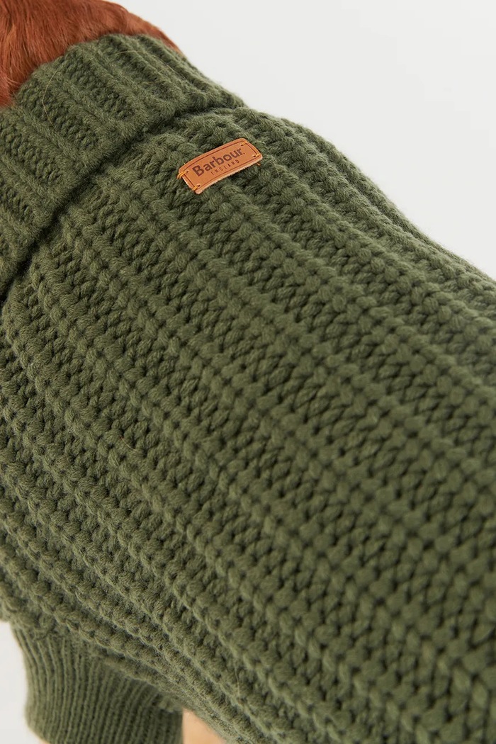 Accessori Barbour Maglia per cane Saltburn Dog Jumper DCO0042 verde