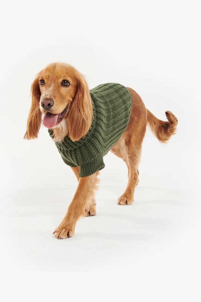 Maglia per cane Saltburn Dog Jumper Barbour DCO0042 verde
