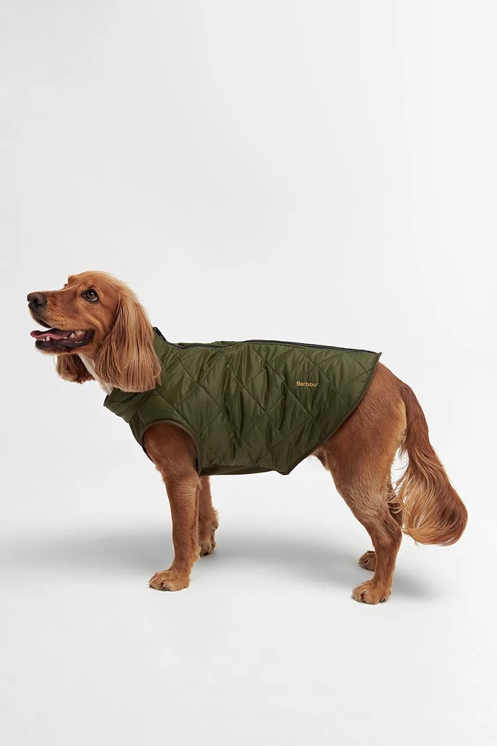Кучешко палто Barbour Reversible Quilt/Borg многоцветен DCO0077