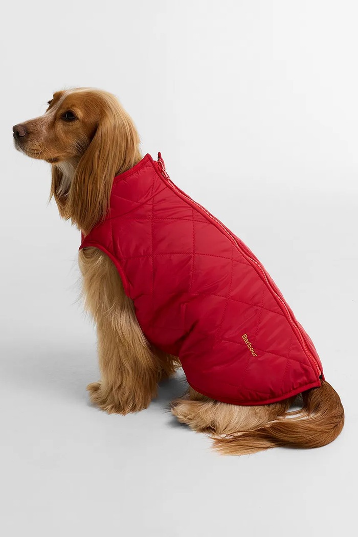 Barbour Płaszcz dla psa DCO0091