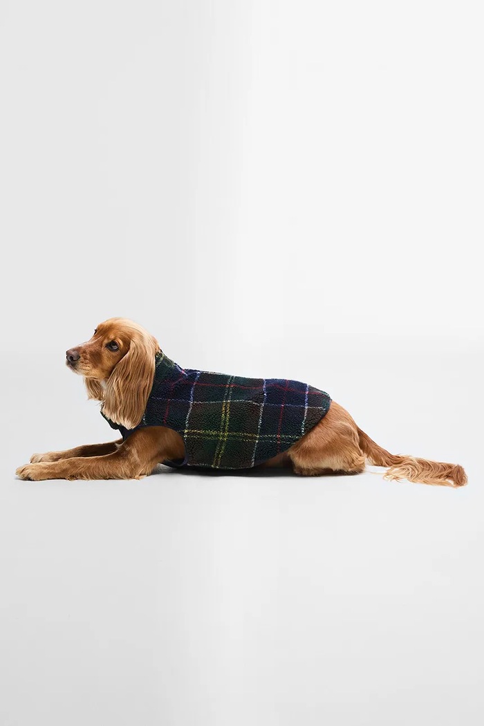 Плащ для собаки Barbour Field Reversible Dog Coat барвистий DCO0091