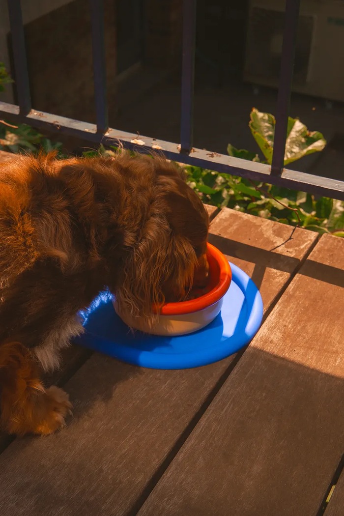 Set zdjelica s postoljem za kućnog ljubimca Areaware Every Pet Eats Set 3 elementy AWPBSM