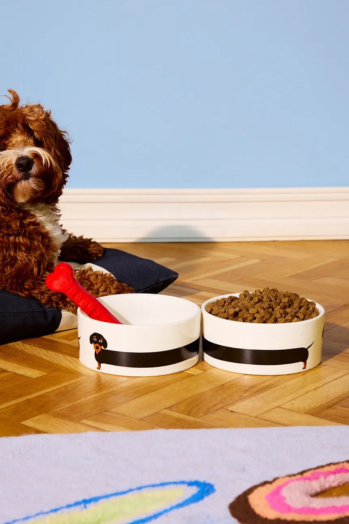Decor Miska pre vášho domáceho maznáčika Fluid Market Gamelle Teckel 10 x 21 x 21 cm AADOGBOWLTG biela