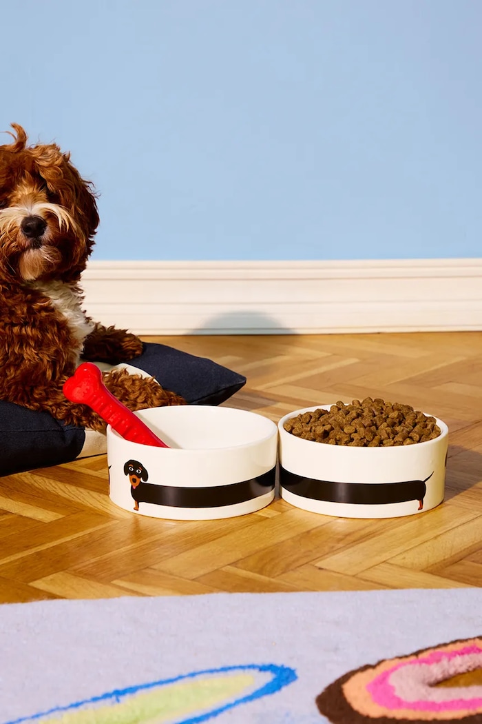 Decor Miska pre vášho domáceho maznáčika Fluid Market Gamelle Teckel 10 x 21 x 21 cm AADOGBOWLTG biela