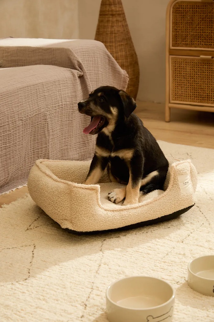 Κρεβάτι για κατοικίδια Calma House 50 x 40 x 15 cm μπεζ TAICO.DOGS.CRU