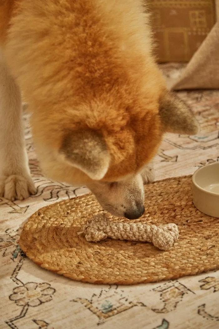 Calma House giocattolo per animale domestico 15 cm beige BUBY.PT15.CRU
