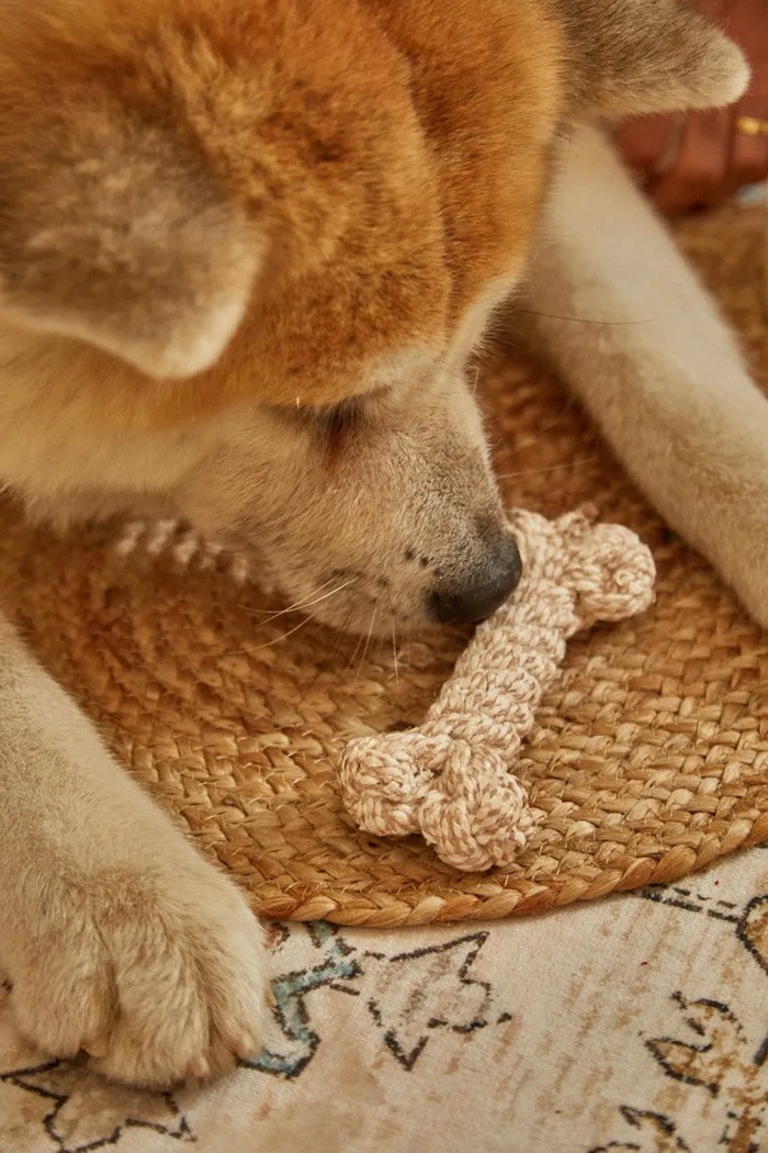 Calma House giocattolo per animale domestico 15 cm BUBY.PT15.CRU beige
