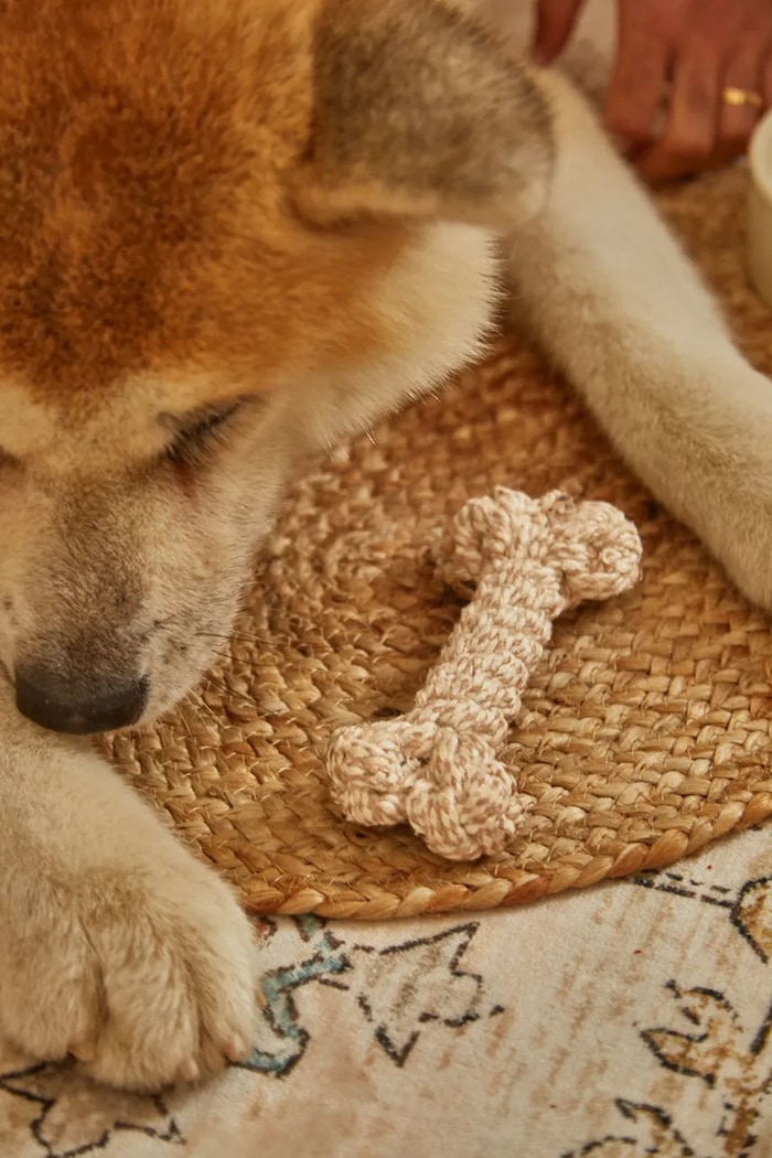 Calma House giocattolo per animale domestico 15 cm BUBY.PT15.CRU