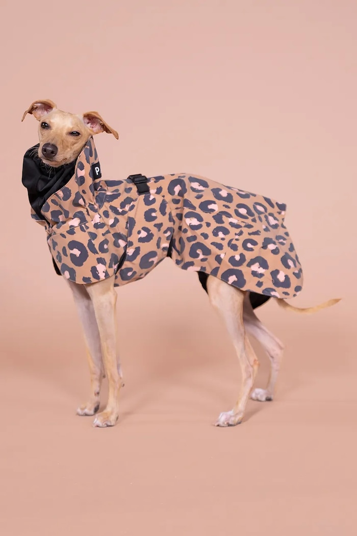 PAIKKA kutya esőkabát Visibility Raincoat 48 x 38 x 0,9 cm 1041008