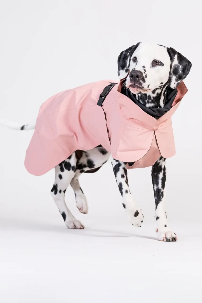 PAIKKA płaszcz przeciwdeszczowy dla psa Visibility Raincoat 41 x 26 x 0,9 cm 1042140