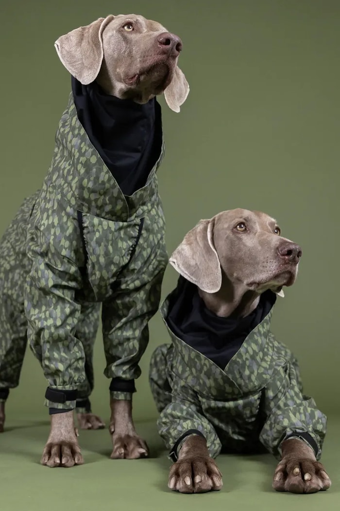 PAIKKA kombinezon przeciwdeszczowy dla psa Rain Suit 38 x 31 x 1,2 cm multicolor 1045081