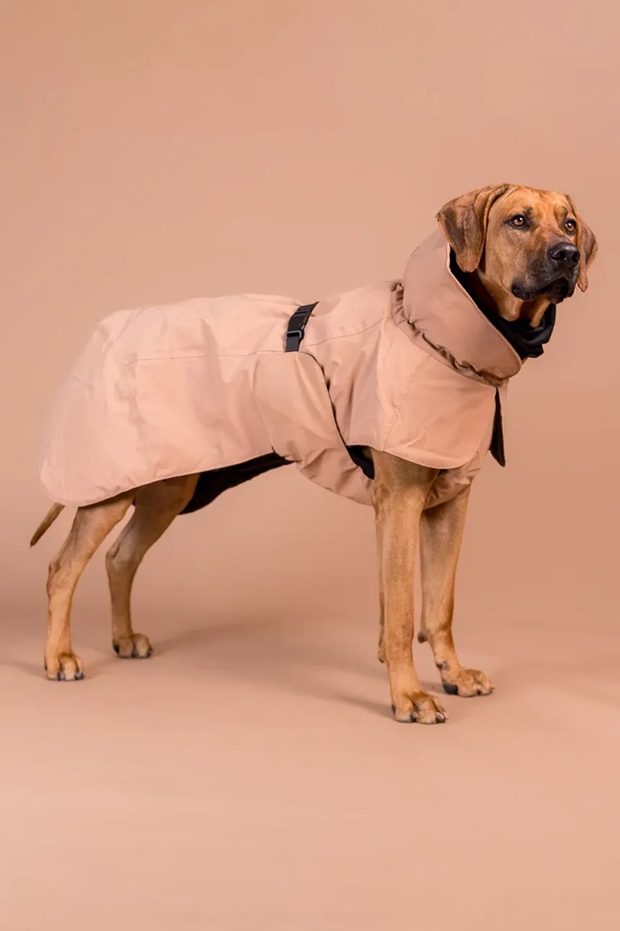 PAIKKA płaszcz zimowy dla psa Visibility Winter Jacket 48 x 42 x 2,1 cm 1041092