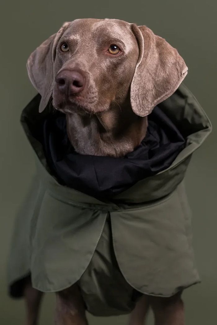 PAIKKA téli kutyakabát Visibility Winter Jacket 45 x 40 x 2,1 cm 1045181