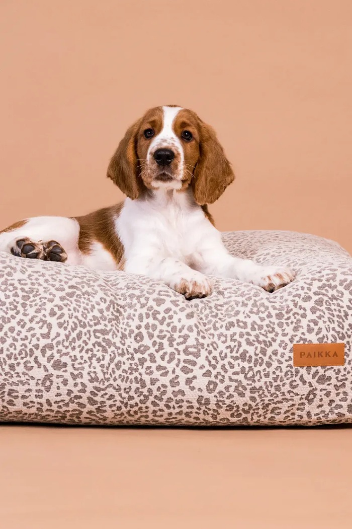 Lifestyle PAIKKA pat pentru animale de companie Bed Stone 125 x 80 x 20 cm 1028024. multicolor