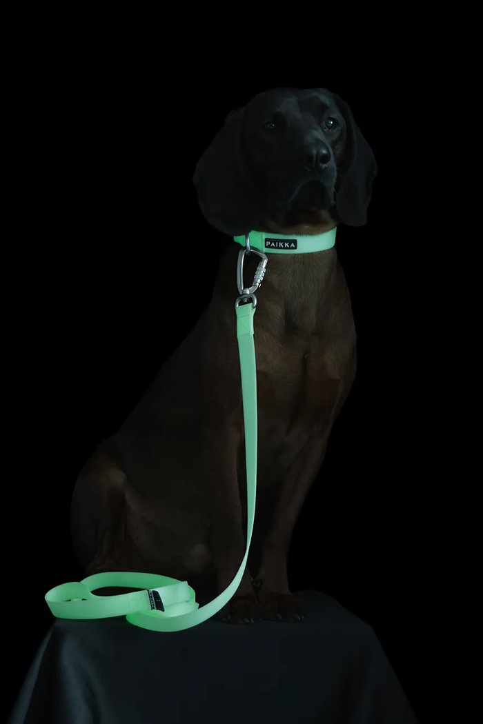 PAIKKA zgardă fluorescentă pentru câini Glow Collar 2.5cm x 35 - 48cm roz 1032014