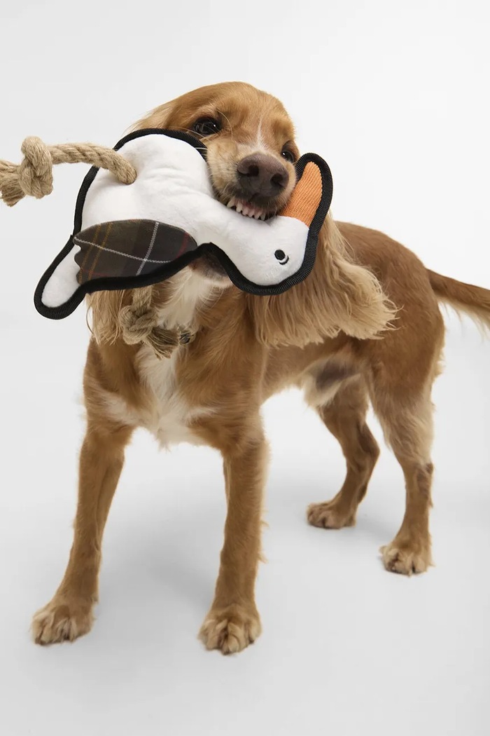 Barbour kutya játék Dog Seabird Toy 18 x 18 cm DAC0125WH11 többszínű AA00