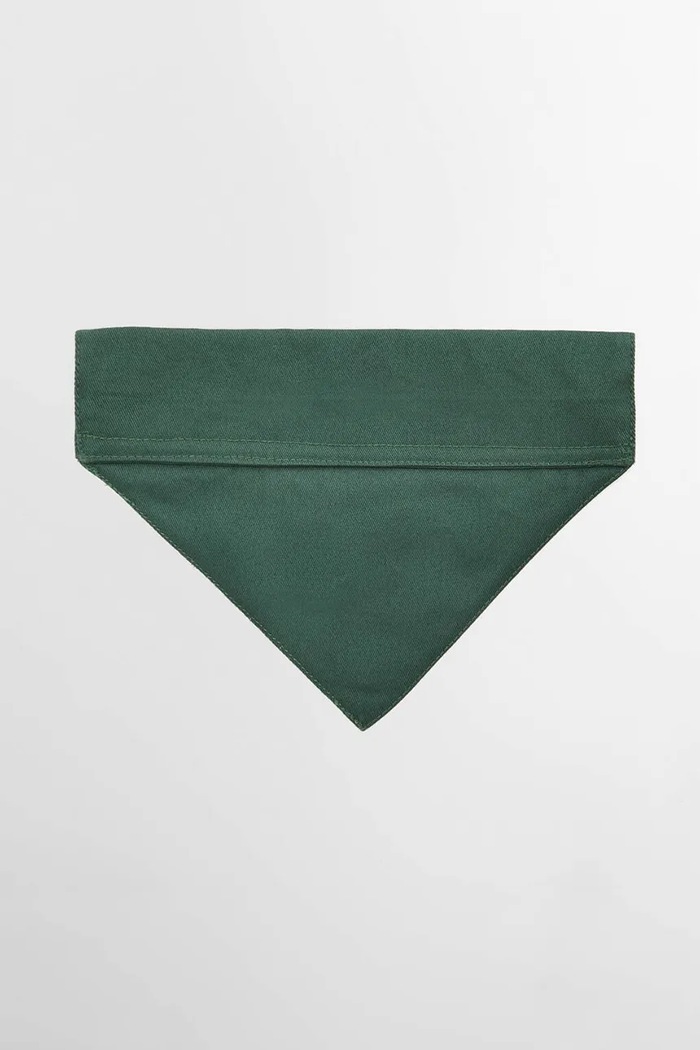 Barbour bandană pentru animale de companie L/XL DAC0126GN91 turcoaz AA00