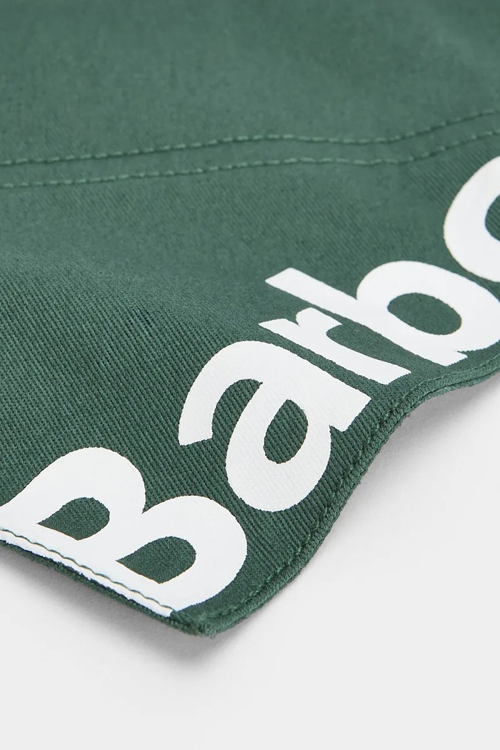 Lifestyle Barbour bandană pentru animale de companie L/XL DAC0126GN91 turcoaz
