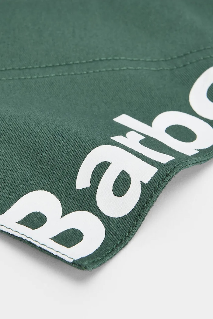 Lifestyle Barbour bandană pentru animale de companie L/XL DAC0126GN91 turcoaz