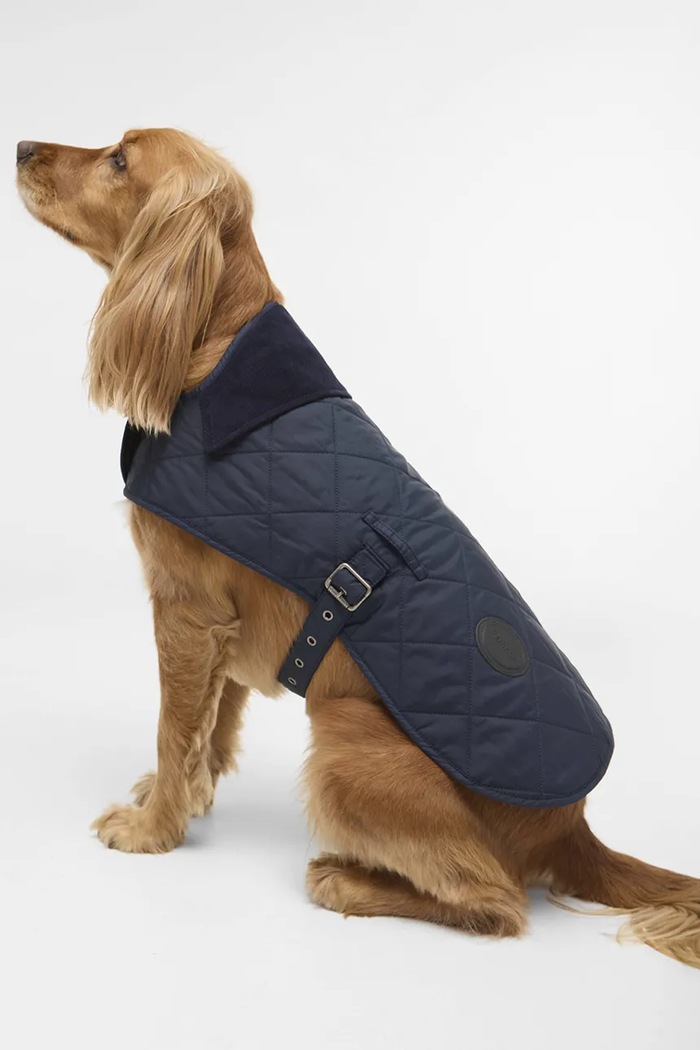 Kabát pre psa Barbour modrá DCO0004NY71