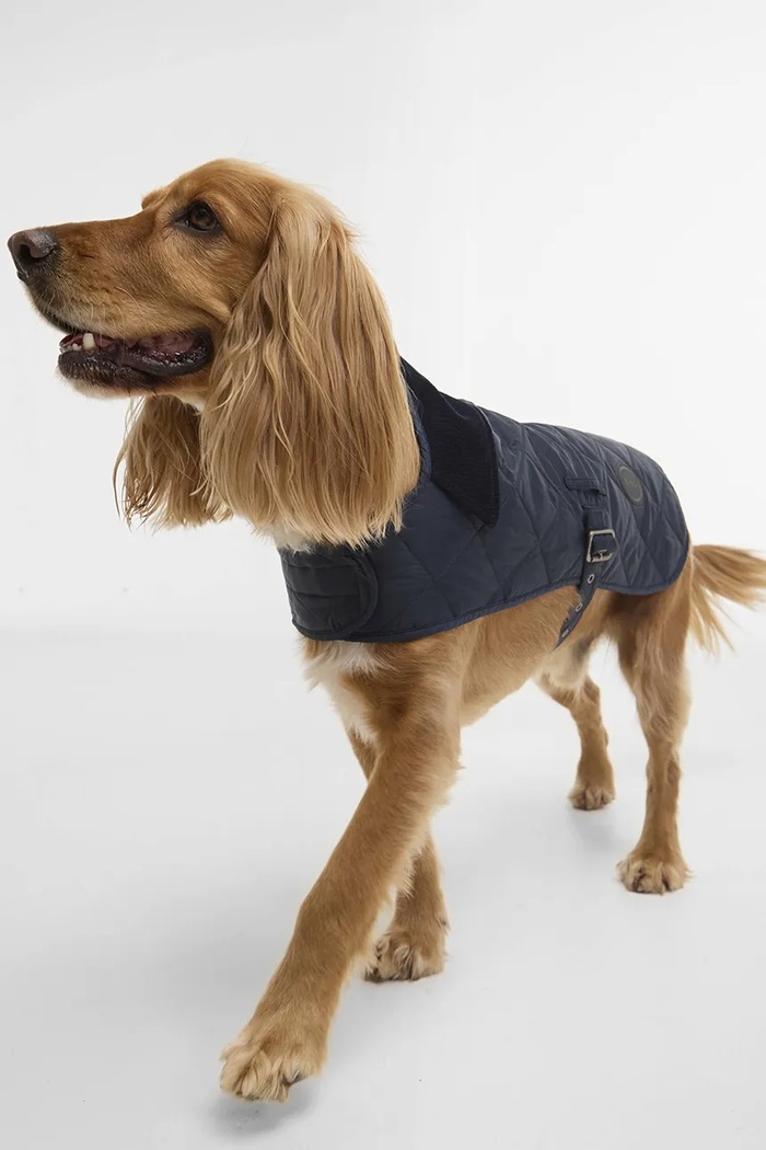 Kabát pre psa Barbour DCO0004NY71