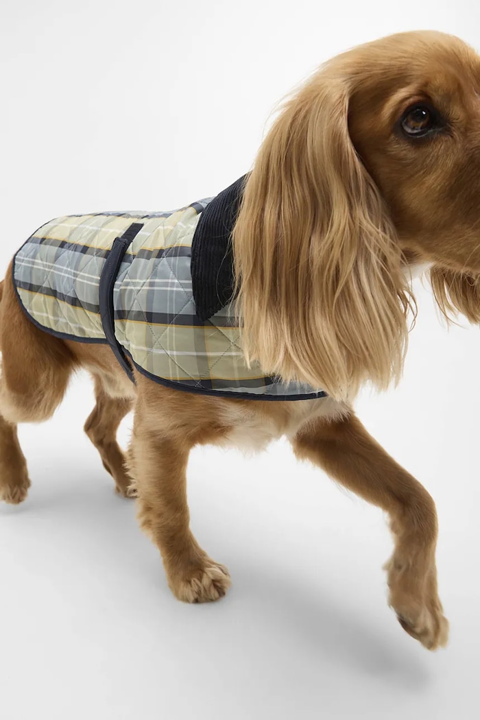 Kabát pre psa Barbour Tartan Dog Coat DCO0005TN37