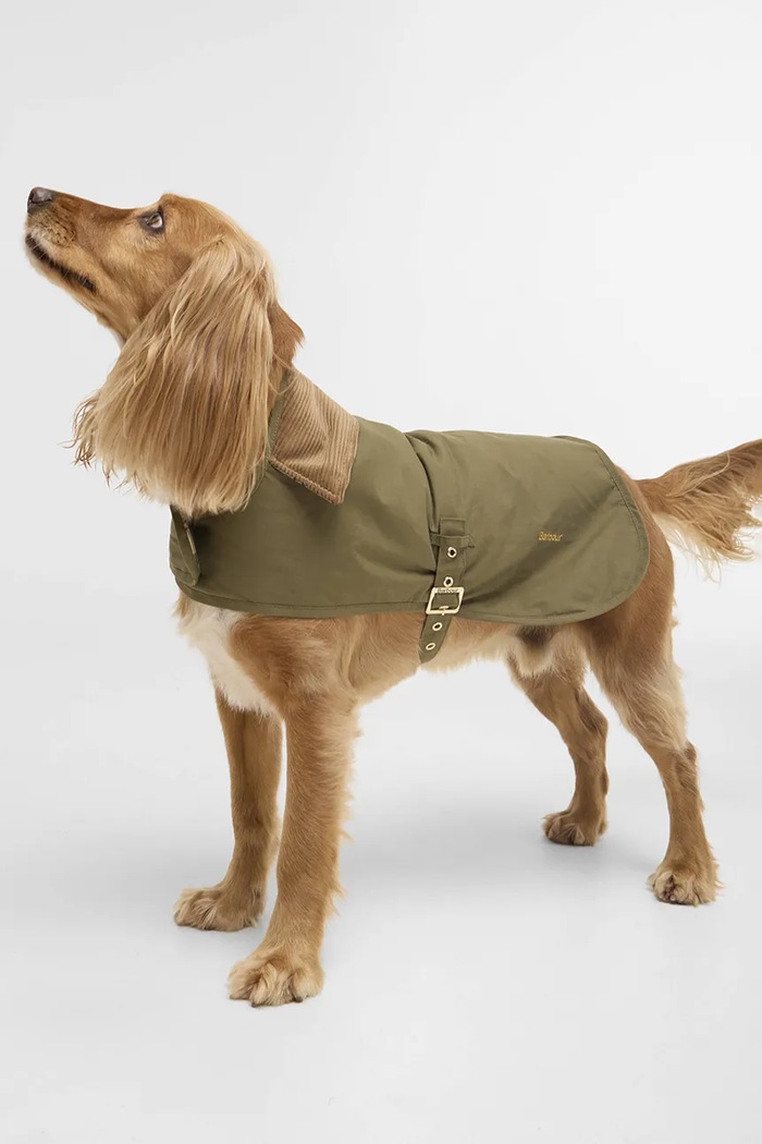 Barbour haină de câine Transport DCO0094GN31