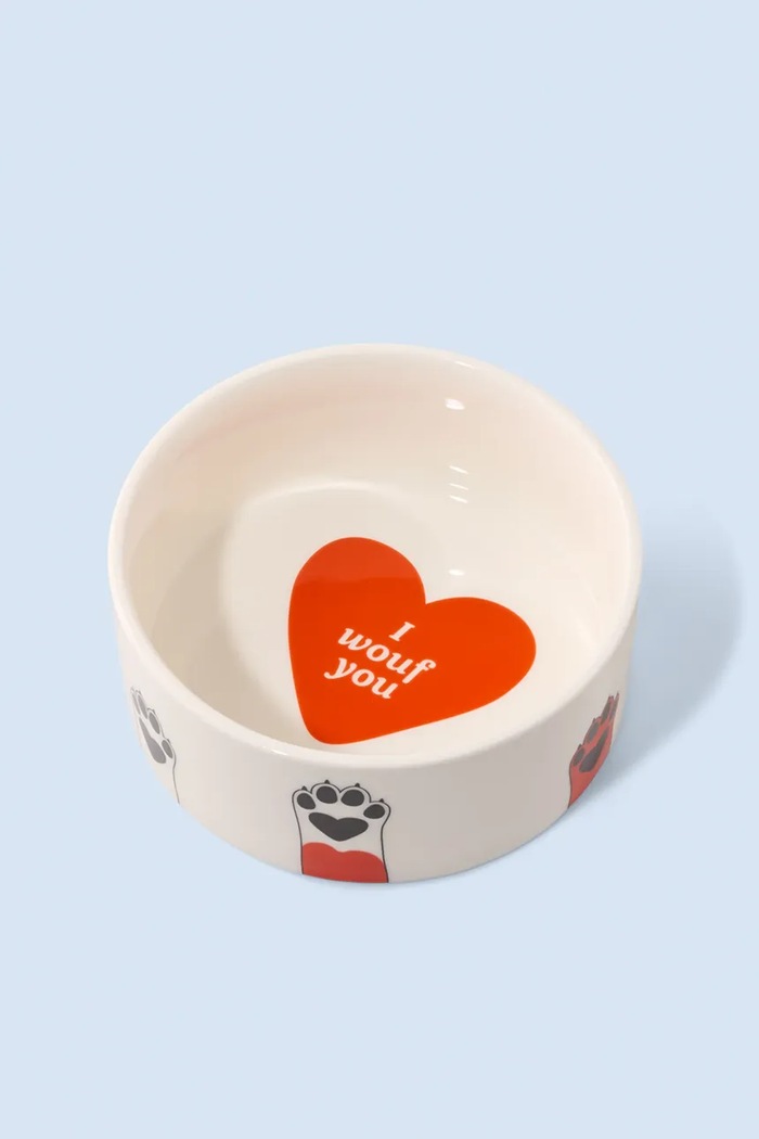 Zdjelica za psa Fluid Market 18,5 x 8 cm šarena AADOGBOWLPAWS
