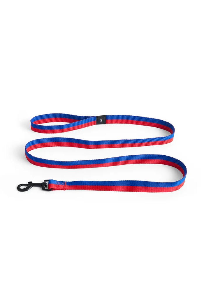 HAY λουρί για σκύλο 2,5 x 160 cm πολύχρωμο AD865.D029.AL56