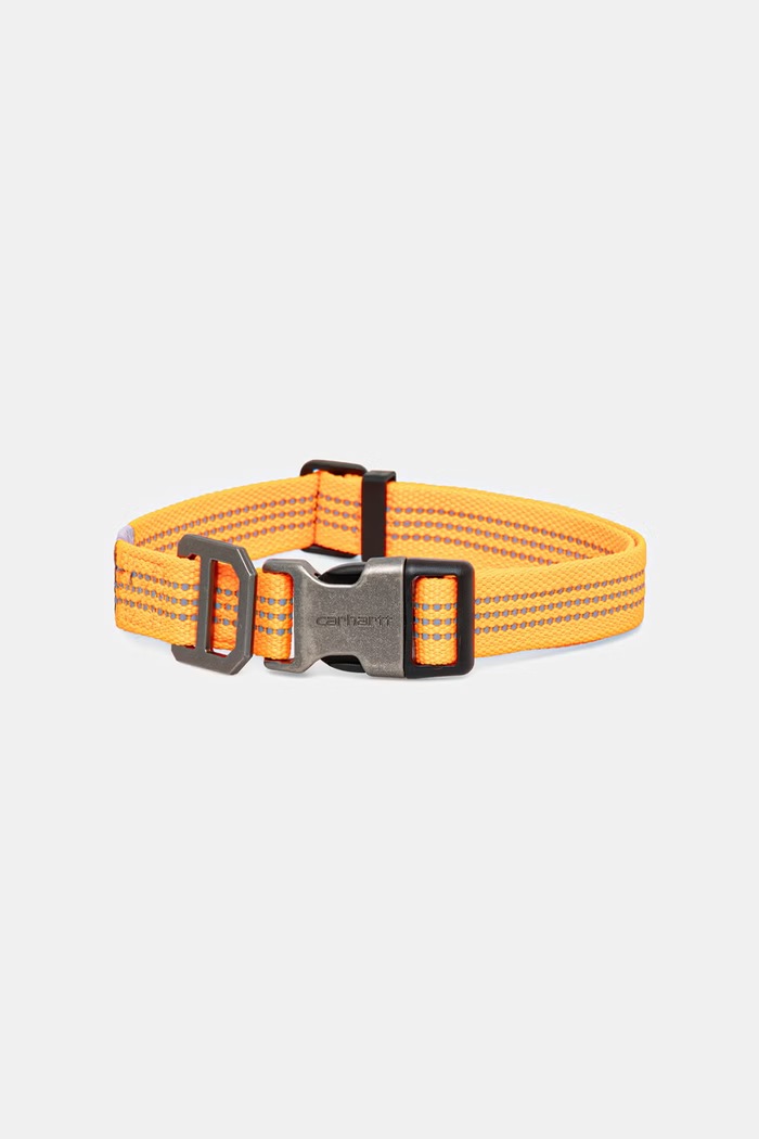 Carhartt WIP Κολάρο για σκύλο πορτοκαλί .P000343.822.S006