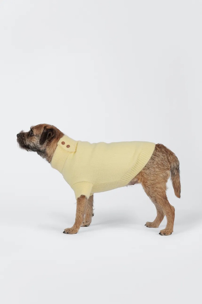 PAIKKA Sweter dla psa 30 cm 1044049