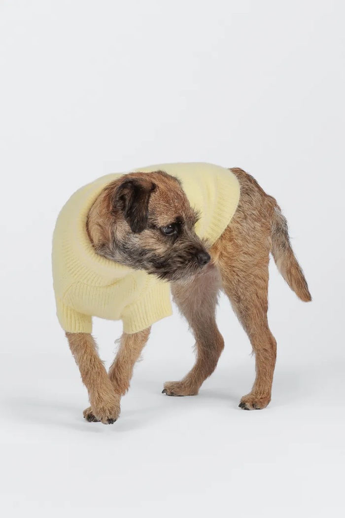 PAIKKA Sweter dla psa 30 cm 1044049