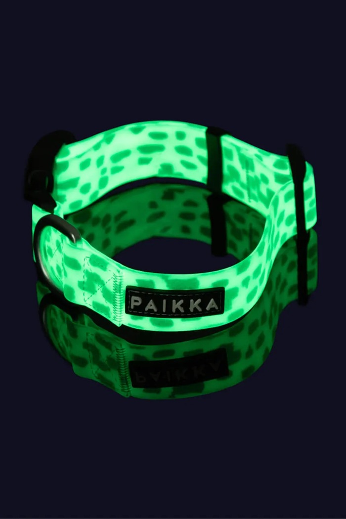 PAIKKA obroża fluorescencyjna dla psa 2,5 x 35-48 cm 1039035 multicolor AA00