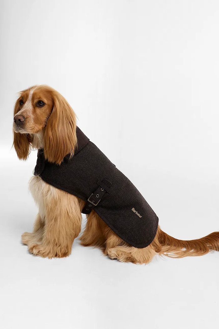 Barbour Płaszcz dla psa brązowy DCO0101