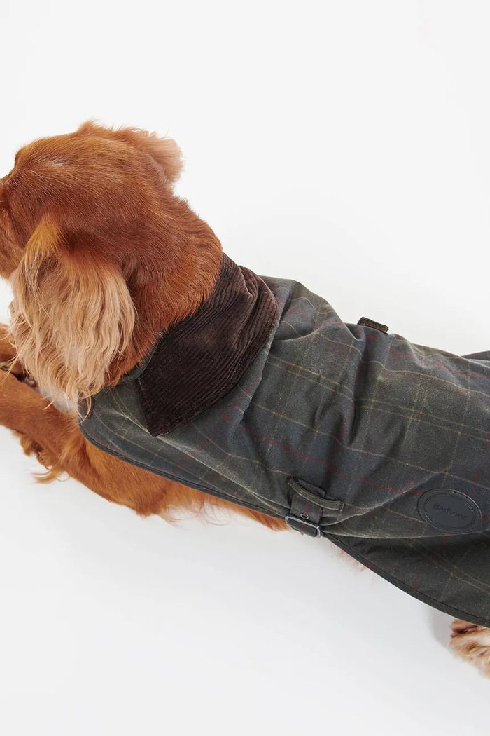 Płaszcz dla psa Barbour DCO0031 multicolor