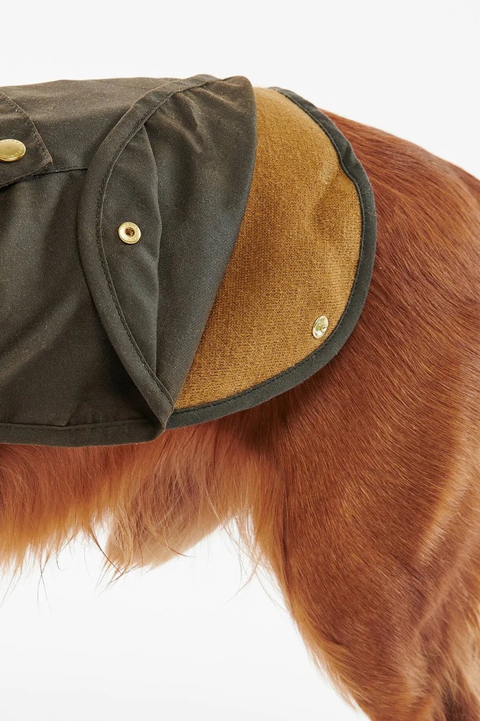 Płaszcz dla psa Barbour DCO0018 zielony