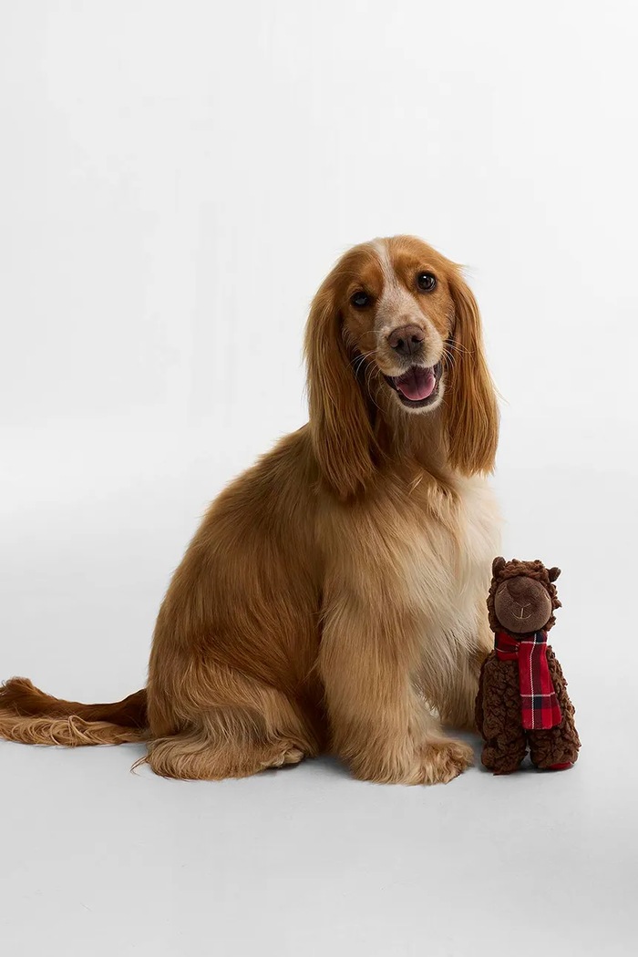 Barbour Zabawka dla psa DAC0141 brązowy AA00