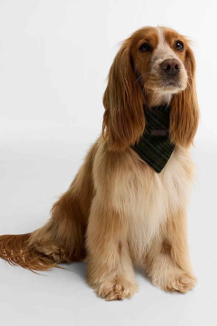 Barbour Bandana dla psa DAC0135