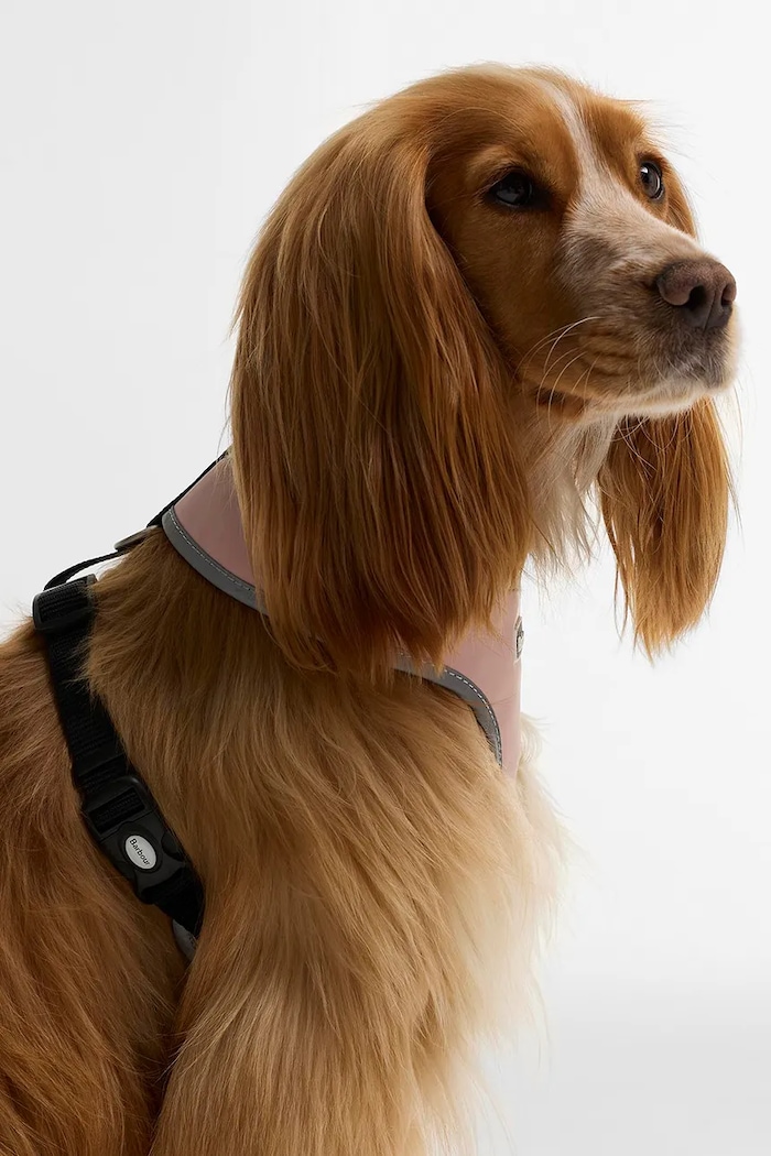 Barbour Szelki dla psa DAC0134
