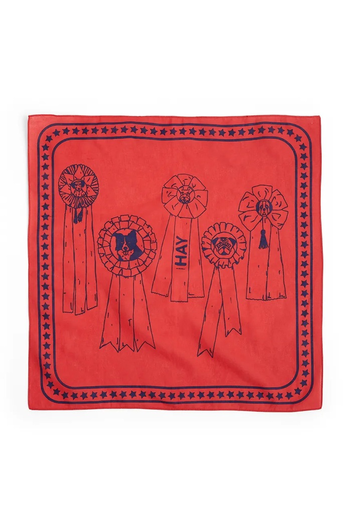 HAY bandană pentru animale de companie 55 x 55 cm rosu AD858.D281.AB27