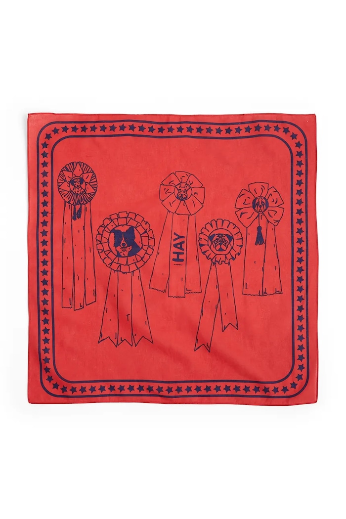 HAY bandană pentru animale de companie 55 x 55 cm rosu AD858.D281.AB27