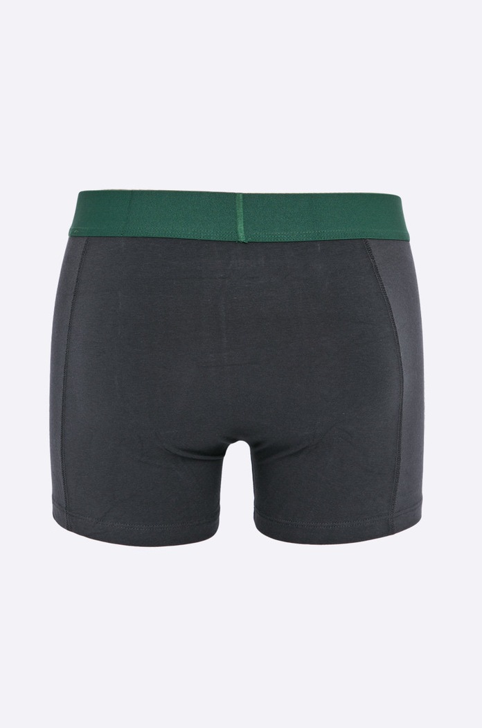 Puma - Boxerky Puma Placed logo boxer 2p green (2-pak) 90651904 zelená 90651904