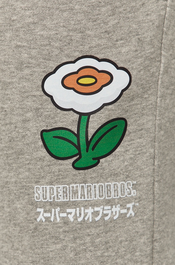 Odzież Champion - Spodnie x Super Mario Bros. 216870 216870 szary